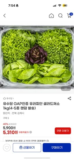 유수담 GAP인증 유러피안 샐러드채소 1kg