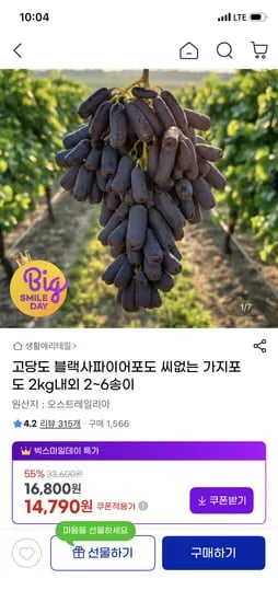 블랙 사파이어포도 씨없는 2kg