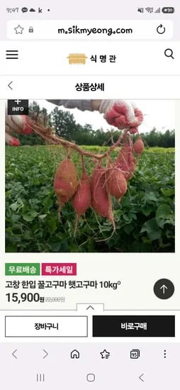 고창꿀고구마 10kg