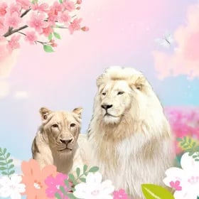 대구 네이처파크 이용권 9,700원