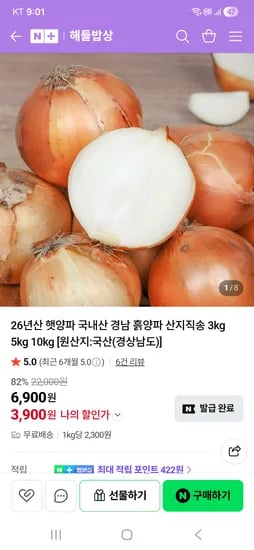 국내산 햇양파 소 10kg
