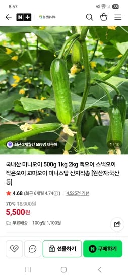 국내산 미니오이 500g