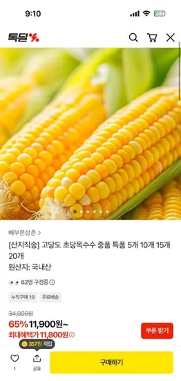 초당옥수수 중품 5개