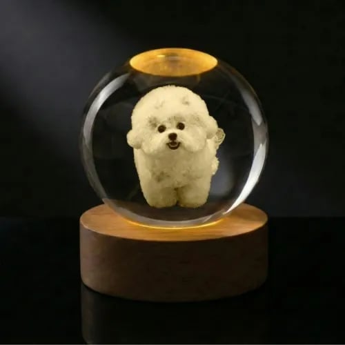 소담구슬 3D 크리스탈 각인 반려견 무드등 49,000원 무배