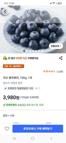 국산 블루베리 100g 1개
