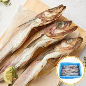 코다리 왕특대사이즈 8마리(42-45cm) 총 8개