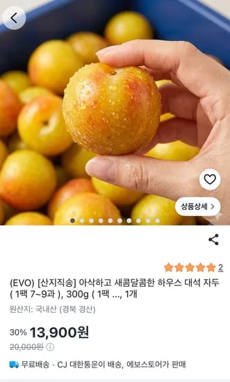 하우스 자두 300g 13,900원 외 다양 600g 21,900원