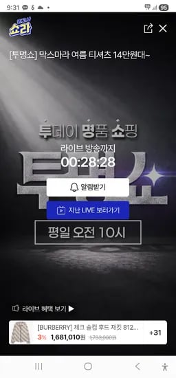 로에베 막스마라 여름 가방 티셔츠 외 다양 수량x개수