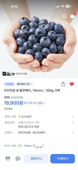 생블루베리 100g 외 다양 5팩
