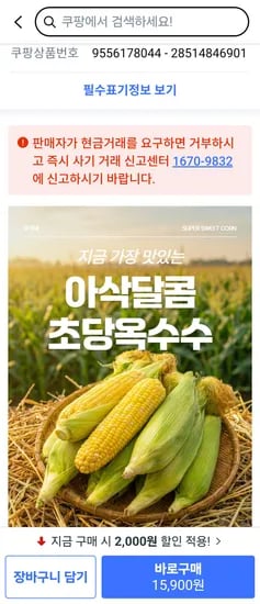 초당옥수수 5개