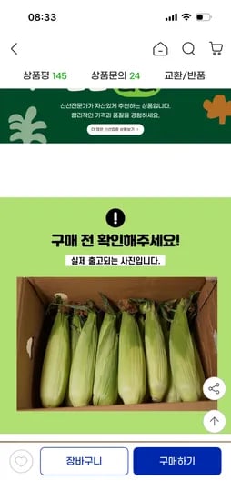 초당옥수수 외 다양 10개 16cm 이상
