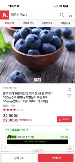 블루베리 14mm-20mm 대과 100g x 6팩 총 600g 22900원