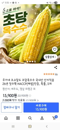 초당옥수수 5개