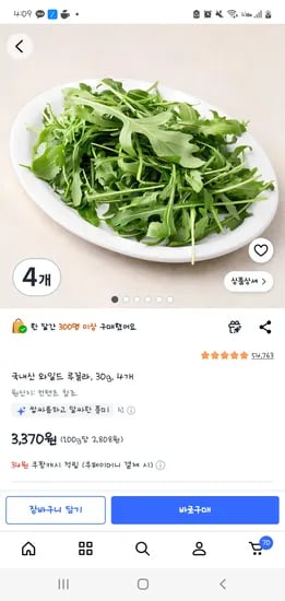 쿠팡 국내산 와일드 루꼴라 30g 4개 3370원