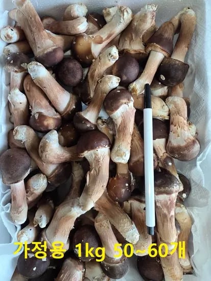 1kg 10,850원