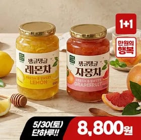 생글탱글 레몬차 / 자몽차 8800 무배