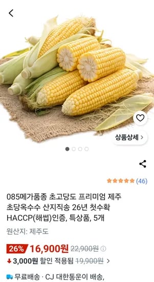 제주 초당옥수수 특상품 외 다양 5개 16900g