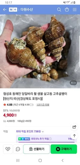 다원수산 포항 활 살고동 고추골뱅이 외 다양 1kg