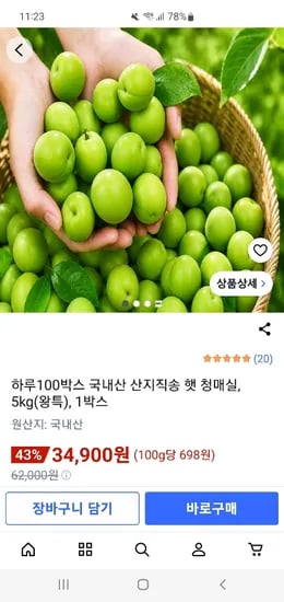 국내산 산지직송 왕특 청매실 5kg (총 100박스)