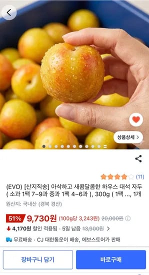 하우스 대석자두 300g 외 다양 12개