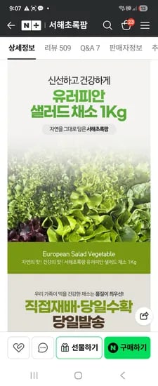 서해초록팜 수경재배샐러드 6종 1kg 외 다양, 무농약 컬리플라워 600g, 총 1.6kg