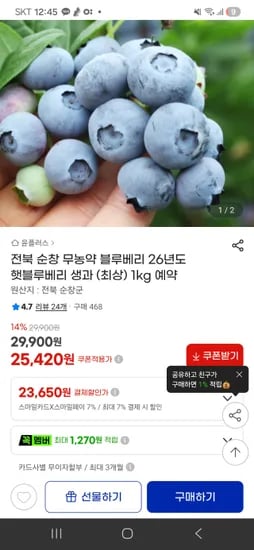 무농약 26년산 햇블루베리 (최상) 1kg 외 다양, 총 23650개