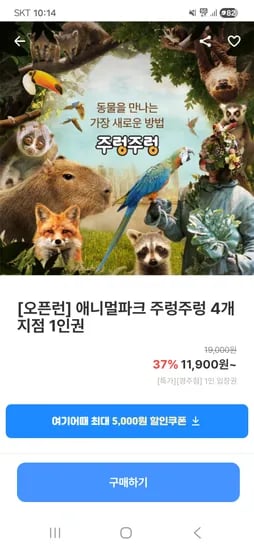 전지점 건전지 다양 20개, 총 1.1kg