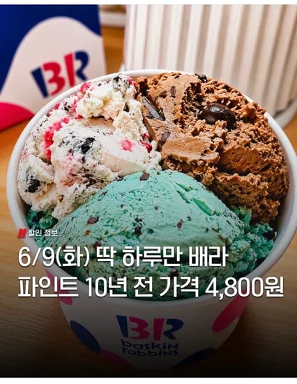 베스킨라빈스 파인트 (6/9) 외 다양, 총 4개, 4800원/개