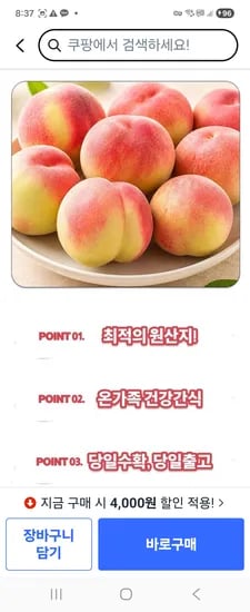 반납작 대극천 복숭아 외 다양 500g 15,700원