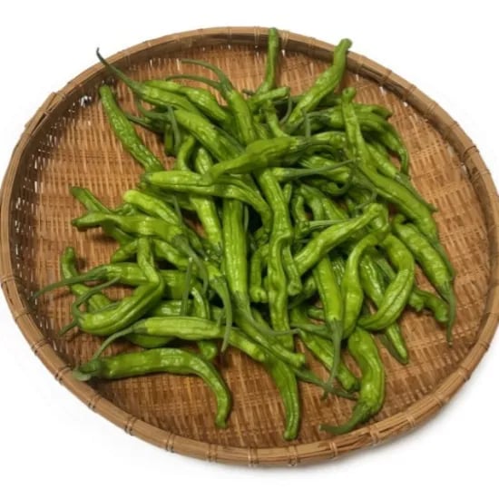 나주 청년농부 꽈리고추 600g 4,200원 무배