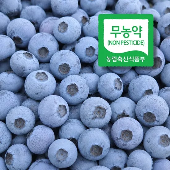 국내산 무농약 생블루베리 외 다양 500g 20개