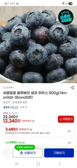 새콤달콤 블루베리 생과 외 다양 500g 총 12개