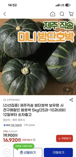 제주 보우짱 밤단호박 외 다양 5kg (25과~10과내외) 16,920원