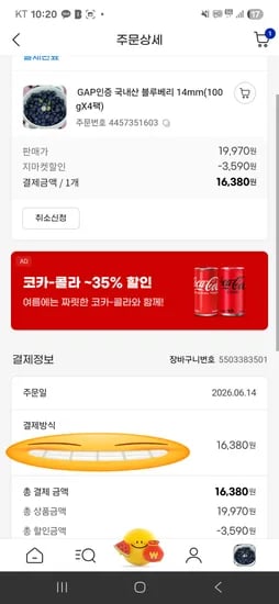 국내산 블루베리 100g 4팩 16380원 무료배송