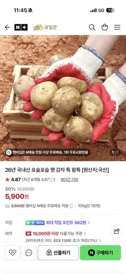 과일꾼 국내산 햇 감자 왕특 3kg 5,900원
