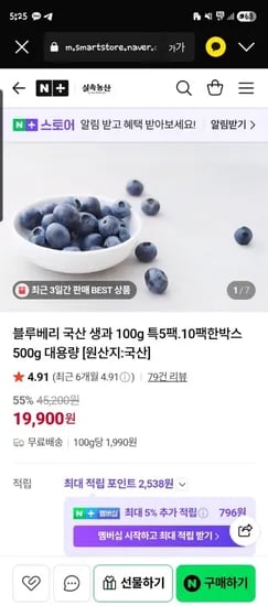 실속농산 국산 노지 생블루베리 500g대용량 한팩 17,900원/무배