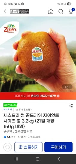제스프리 골드키위 자이언트 총 3.2kg (21입 개당 150g 내외)
