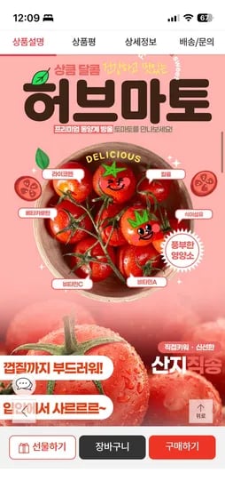 허브마토 방울토마토 5kg