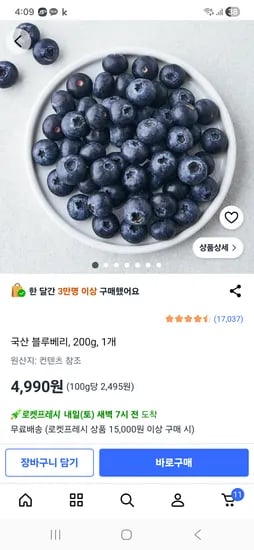 국산 블루베리, 200g, 1개 4990원