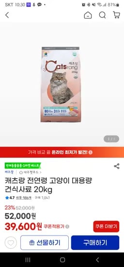 캣츠 20kg
