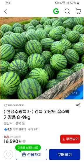 경북 고당도 꿀수박 가정용 8~9kg 8~9kg