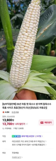 26년 하동 햇 옥수수 생 미백 찰옥수수 특품 사이즈 흑찰 13500원