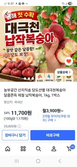 납작복숭아 1kg