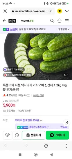특품 백다다기오이 2kg
