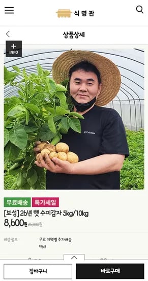 보성 햇수미감자 5kg