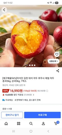 대석자두 3kg