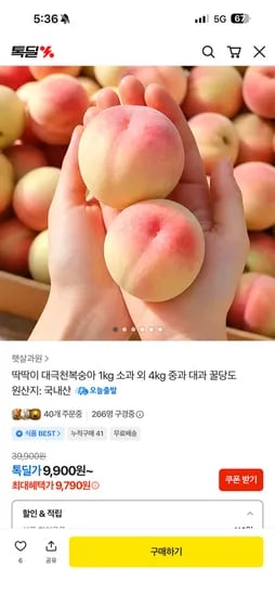 딱딱이 대극천복숭아 1kg 1개