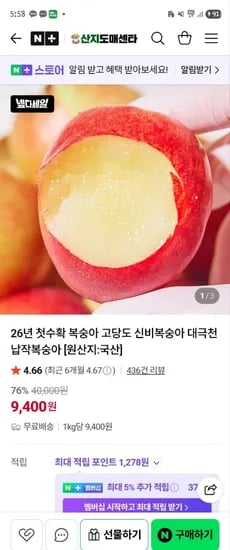 신비복숭아 1kg