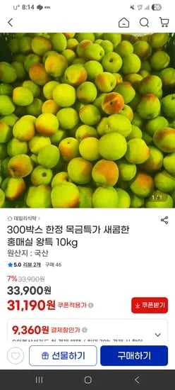 국내산 홍매실 왕특 10kg