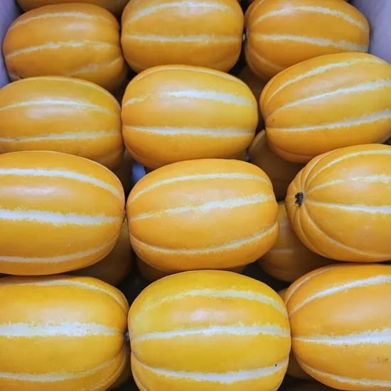 성주 참외 로얄과 5KG